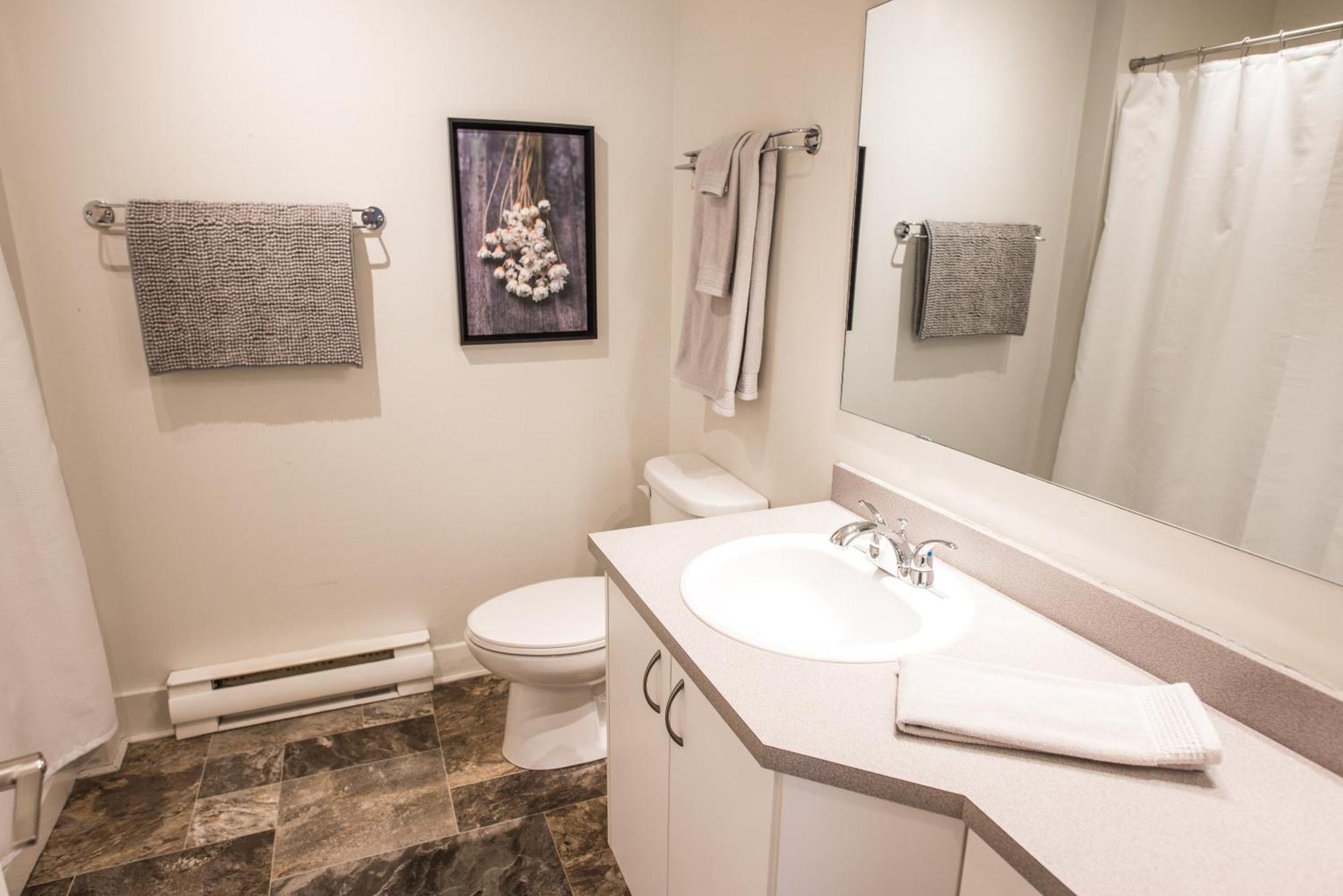 Apartment Downtown - Rooftop Patio - Free Shuttle To Mountain